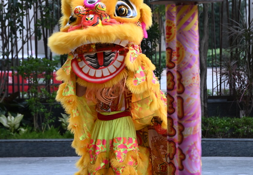 DSC 2886